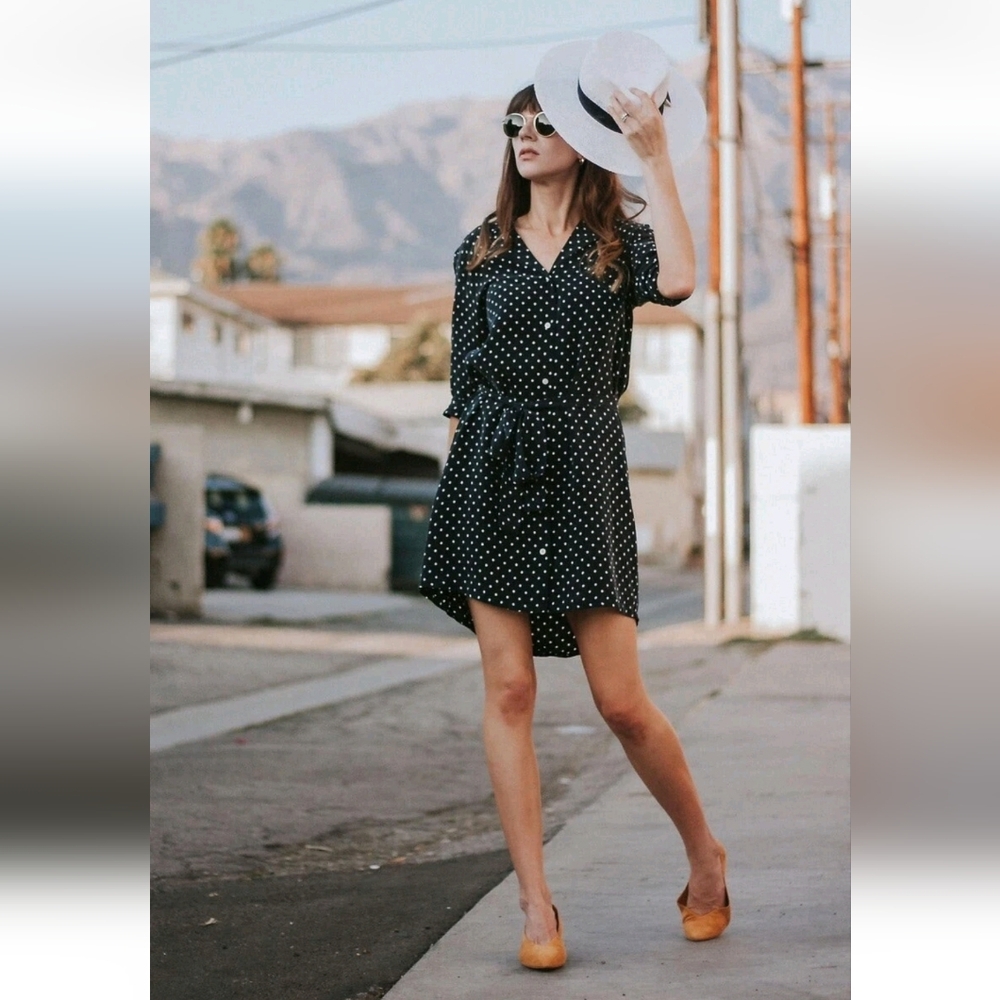 Everlane Cupro Polka Dot Shirt Dress‎